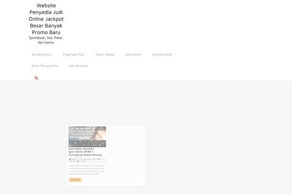 sfbci.com site used Designer-artist