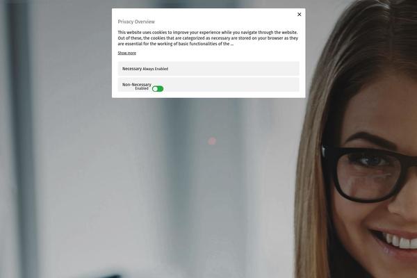 Bridge theme site design template sample