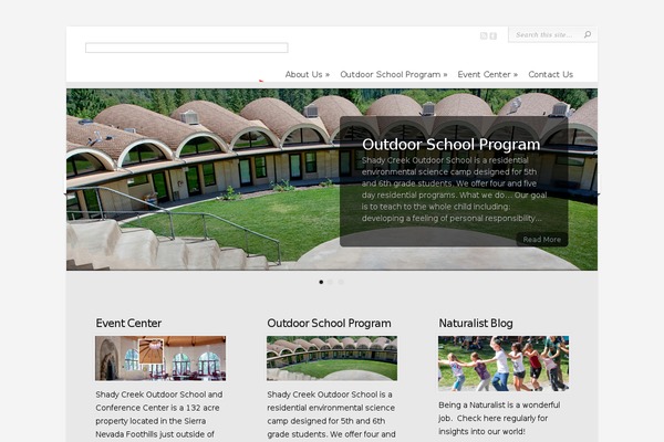 Chameleon theme site design template sample