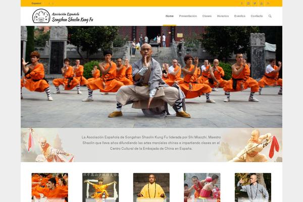 shaolinkungfu.es site used Shaolin