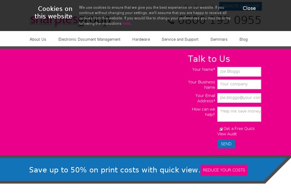 WordPress website example screenshot