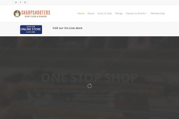 Salient theme site design template sample