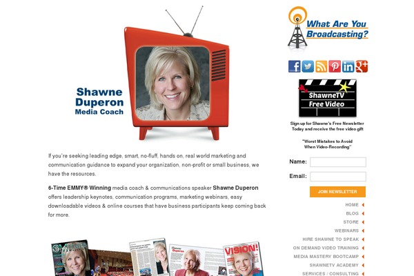 WordPress website example screenshot