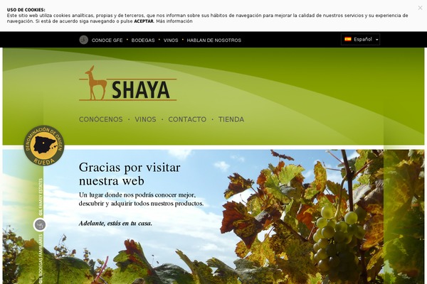 shaya.es site used Gfe-shaya