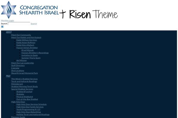 Risen theme site design template sample