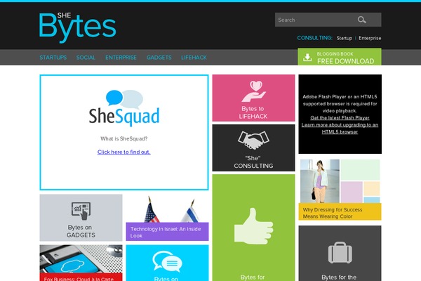 shebytes.com site used Itechnews