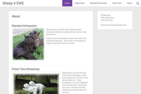 Radiate theme site design template sample