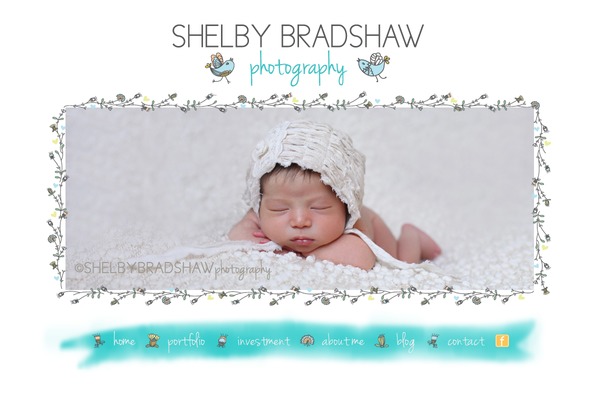 Prophoto4 theme site design template sample