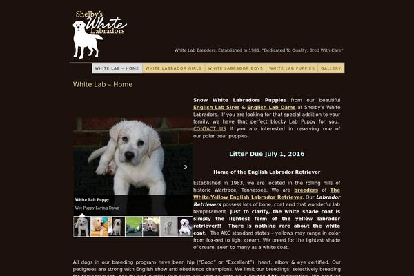 Thesis 1.8.5 theme site design template sample