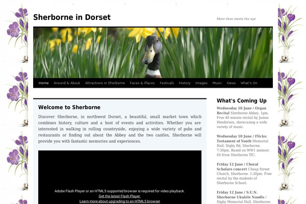 sherborne theme websites examples