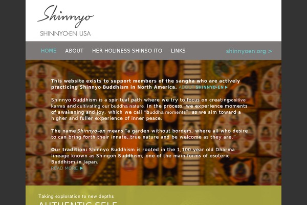 shinnyo theme websites examples