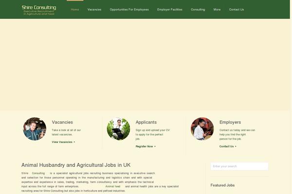 BeTheme Child theme site design template sample