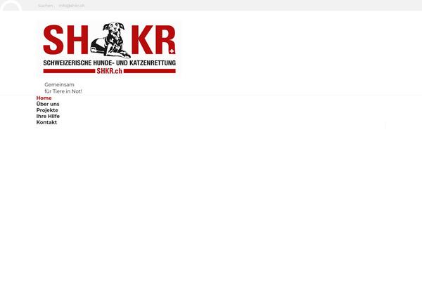 The7 theme site design template sample