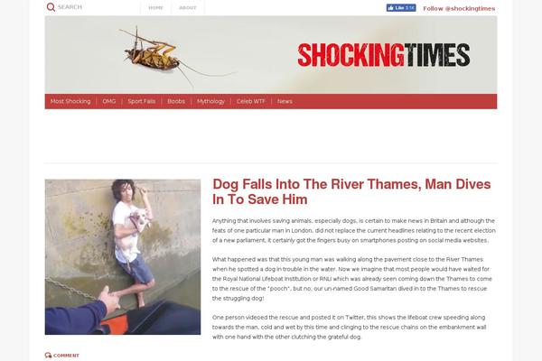 shockingtimes.co.uk site used Shocking-times-2014