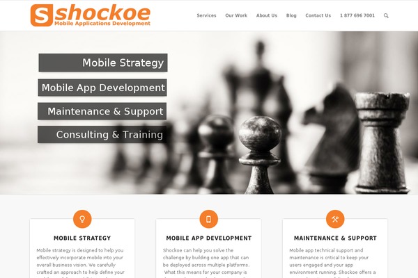 shockoe.com site used Shockoe