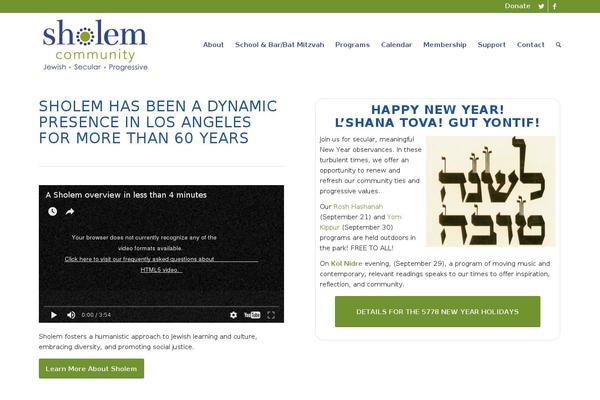 sholem theme websites examples