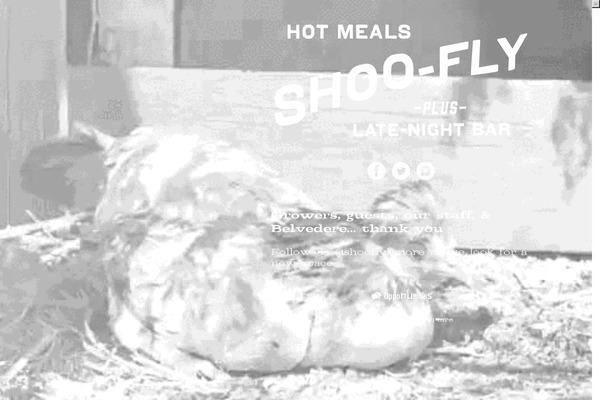 shooflymd.com site used Shooflydiner