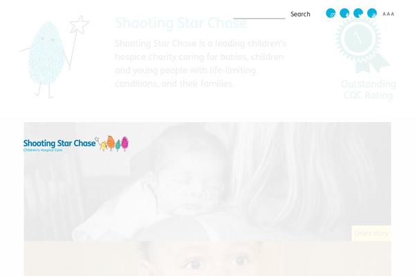 Chase theme site design template sample