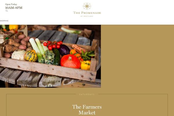 Caruso-retail theme site design template sample