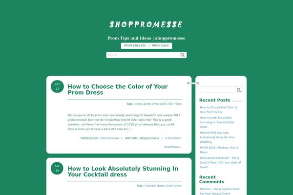 WordPress website example screenshot