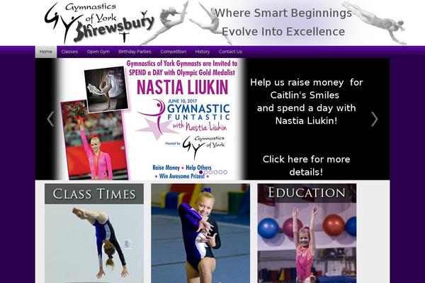 shrewsburygymnastics.com site used Shrewsbury2020