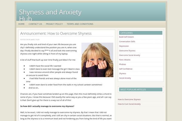 shynessanxietyhub.com site used Twentyten-lifestyle
