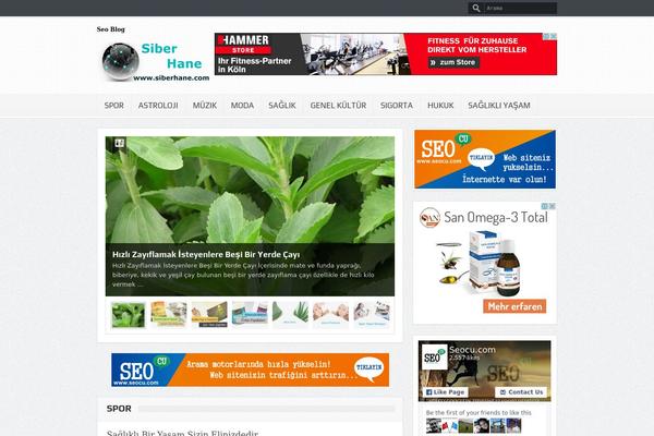 GoodNews theme site design template sample