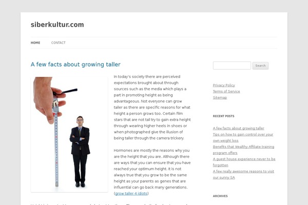 Twenty Twelve theme site design template sample