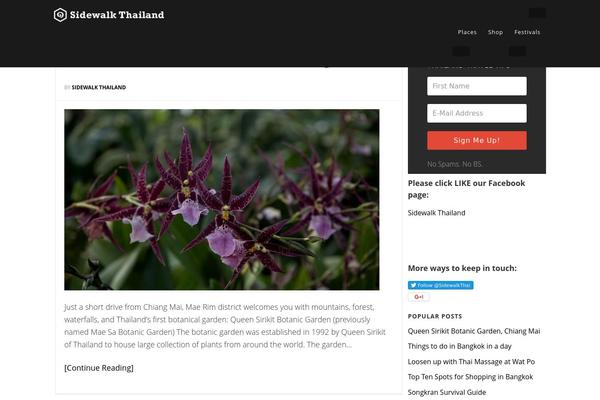 Epik theme site design template sample