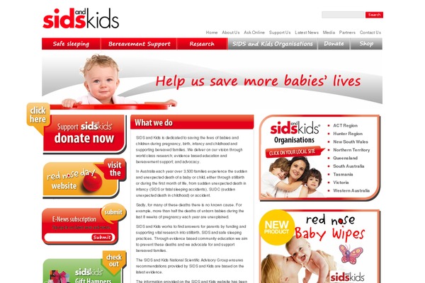 sidsandkids.org site used Sidsandkids