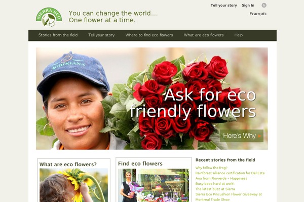sierraeco.com site used Open-two