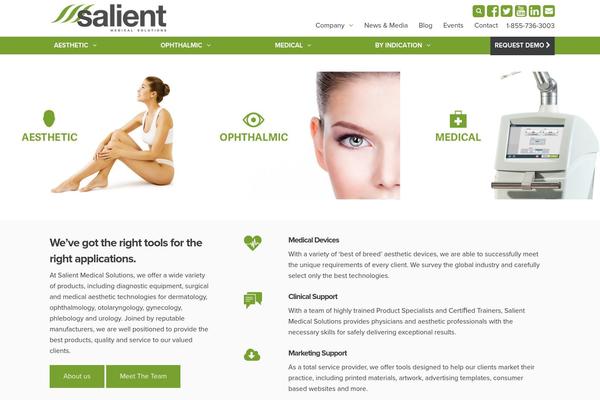 WordPress website example screenshot