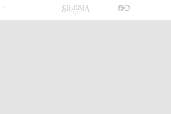 silesiacustoms.pl site used Iona