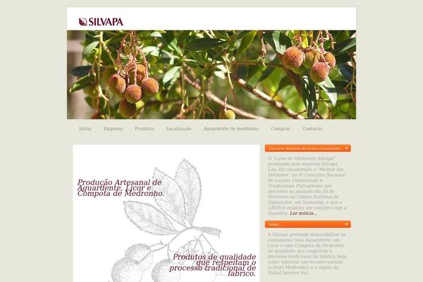 silvapa.com site used ArtSee
