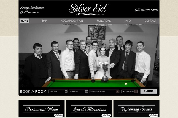silvereel.ie site used Theme1963