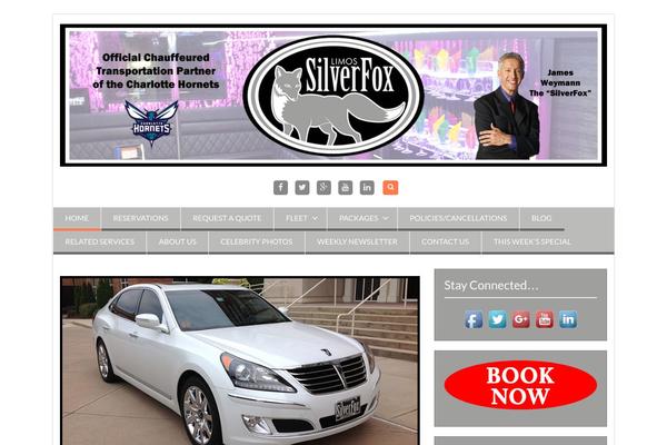 silverfoxlimos.com site used Experon-minimal