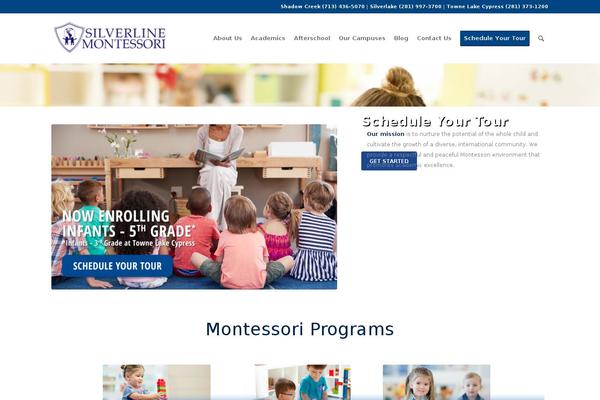 silverlinemontessori.com site used Brightvessel-child