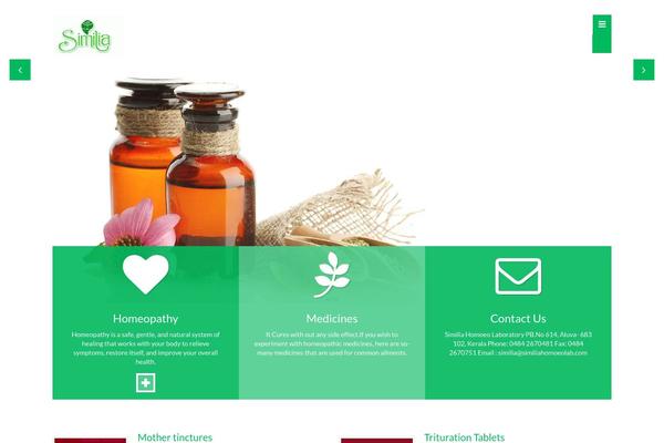 Core theme site design template sample