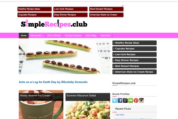 simplerecipes.club site used Thenewspaper