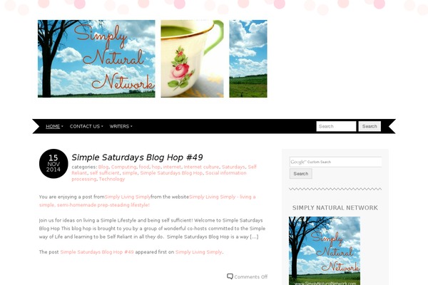 Adelle theme site design template sample