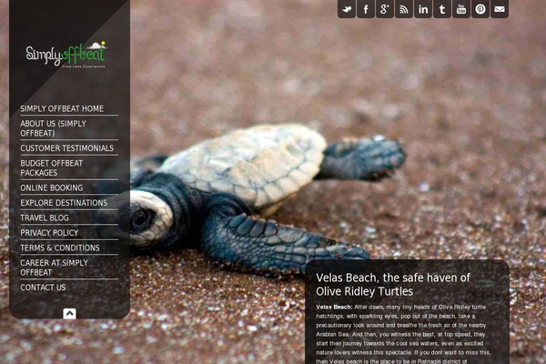 SmartScreen fullscreen responsive WordPress theme theme site design template sample