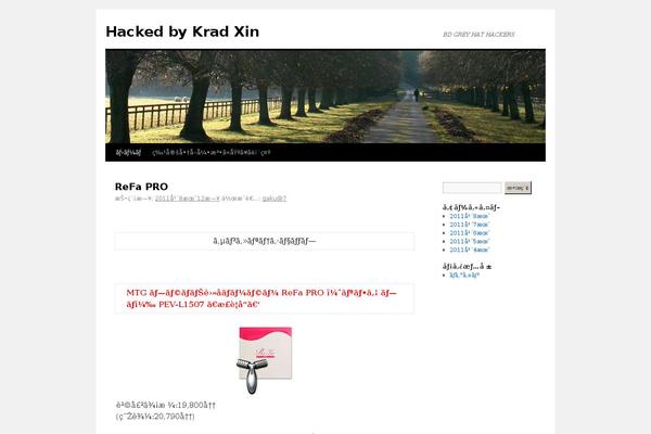 Twenty Ten theme site design template sample