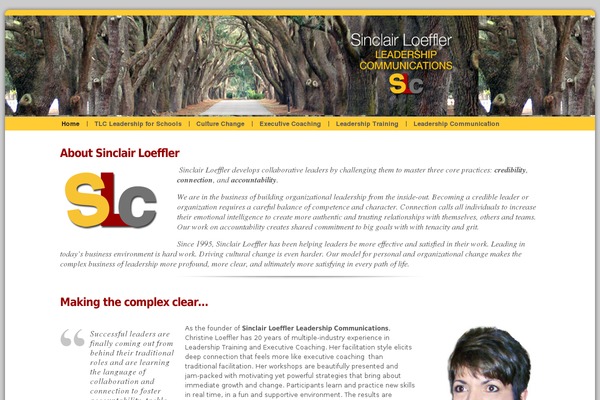 WordPress website example screenshot