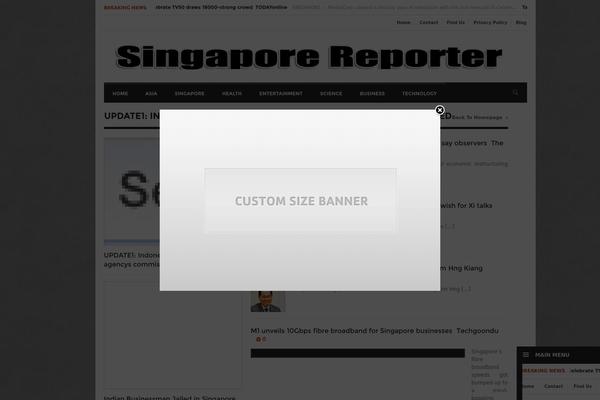 singaporereporter.net site used Reganto