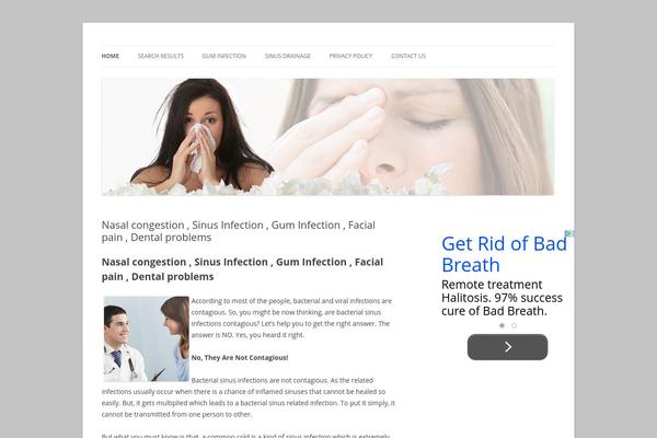 Twenty Twelve theme site design template sample