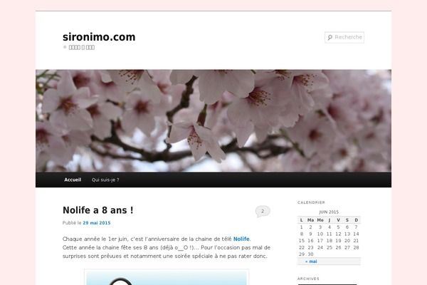 WordPress website example screenshot