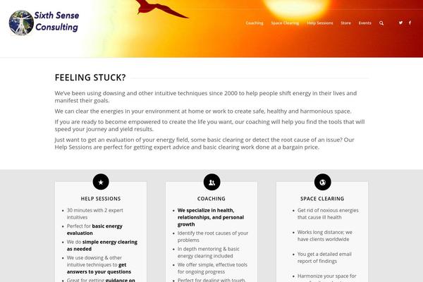 Enfold theme site design template sample