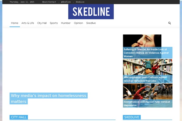 skedline.com site used Newspaper-theme