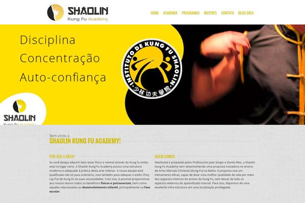skfa.com.br site used 907