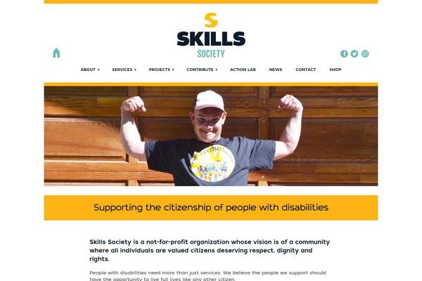 Skills theme site design template sample